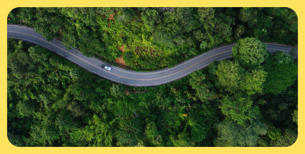 Carretera rodeada de naturaleza para alquiler de autos en Costa Rica
