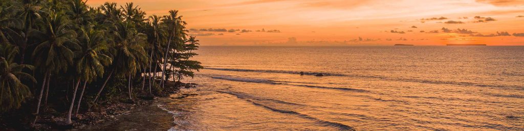 Rent a Car en Tamarindo